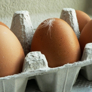 В ростовском детском саду "Лукоморье" обнаружены продукты без указания срока годности