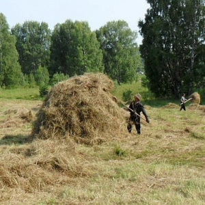 На Ставрополье в больницу госпитализировано восемь человек