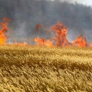 В Куйбышевском районе Ростовской области разорвались пять снарядов, прилетевших со стороны Украины. По предварительным данным, один снаряд разорвался на обочине дороги в непосредственной близости от строящегося пункта пропуска. Отметим, что новый многосторонний автомобильный пункт пропуска "Куйбышево" расположен в километре от старого, находящегося ближе к сопредельному украинскому посту