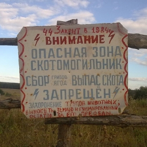 Управление ветеринарии Ростовской области направило на согласование в правительство Ростовской области "Порядок ликвидации неиспользуемых бесхозяйных скотомогильников на территории Ростовской области"