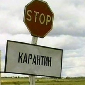 Карантин в связи с выявлением случаев заболевания бешенством действовал в течение двух месяцев на отдельных территориях Каменского, Обливского и Пролетарского районов 