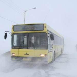 В Ростове-на-Дону на маршруты вышло более тысячи единиц пассажирского транспорта