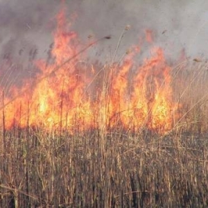 В Аксайском районе удалось ликвидировать возгорание камыша только ночью.