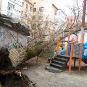 Накануне днем в Ростове-на-Дону наблюдался разгул стихии. 