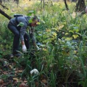 Жуткую находку сделали жители Первомайского района Ростова-на-Дону во время отдыха в роще.